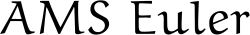 เอเอ็มเอส ออยเลอร์