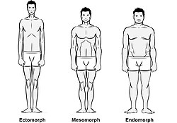 รูปทรงร่างกายและจิตวิทยาตามรัฐธรรมนูญ