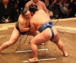 ซูโม่