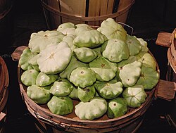 แพตตี้แพนสควอช