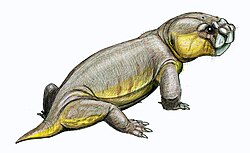 Pelanomodon