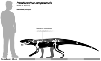 Nundasuchus