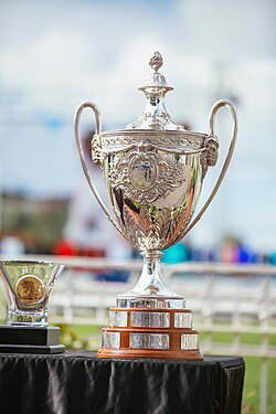ถ้วยรางวัล Barfoot & Thompson Auckland Cup ซึ่งเป็นที่มาของชื่อสัปดาห์ Auckland Cup Week