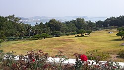 โซรอกโด