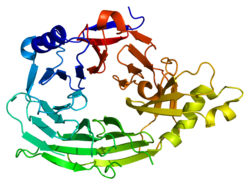 Nucleoporin