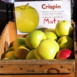 Mutsu (apple)