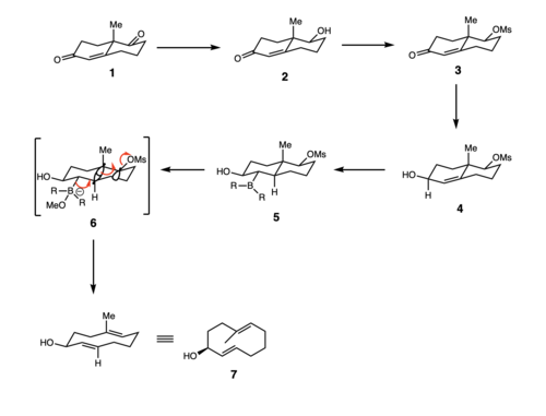 แผนภาพที่ 2 การแตกตัวแบบ Grob