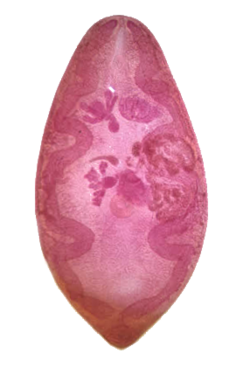 Paragonimus westermani