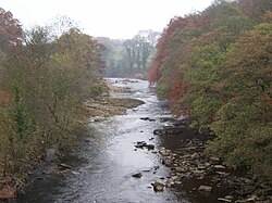 River Swale