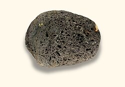 สโคเรีย