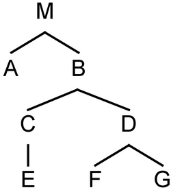 คำสั่งซี