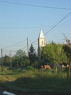 Crna Bara (Čoka)