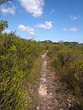 Anice Falls Track (#8)