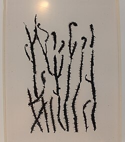 ซอว์โดเนีย