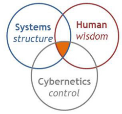สมาคมระบบ มนุษย์ และไซเบอร์เนติกส์ของ IEEE