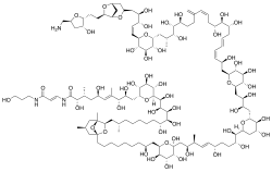 Palytoxin