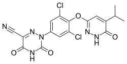 เรสเมติรอม