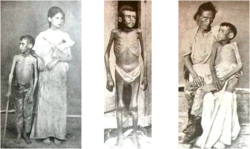 นโยบายการรวมศูนย์ใหม่