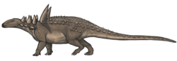 ทาทันคาเซฟาลัส