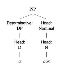 กลุ่มคำนาม (NP) ที่มีกลุ่มคำนามกำหนด (DP) และคำนามนำหน้า กลุ่มคำนามกำหนดมีคำนำหน้าเป็น "a" (D) และคำนามนำหน้าเป็น "box" (N)