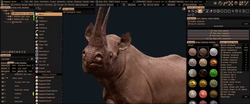 3D-Coat