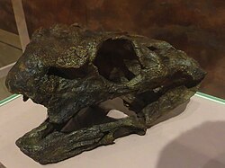 เกอิเกีย