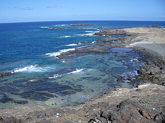 เกาะป่าเถื่อน