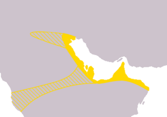 Sack of Basra (923)