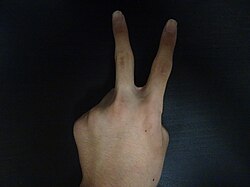 การทำท่า "ตัววี" ด้วยนิ้วมือ อาจหมายถึง "สันติภาพ" ในบางสถานการณ์ และหมายถึง "ไปให้พ้น" ในสถานการณ์อื่นๆ