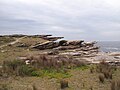 Coast Track (#30)