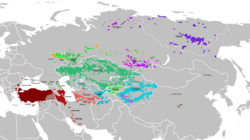 Pecheneg language