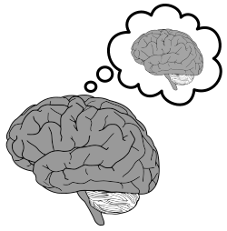 Diagram of a brain thinking about a brain