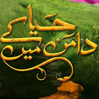 Haya Ke Daaman Main