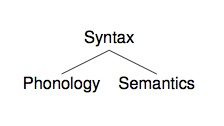 Focus (linguistics)