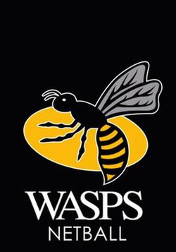 เน็ตบอล Wasps