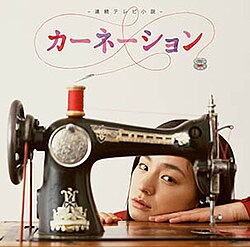 คาร์เนชั่น (ซีรีส์โทรทัศน์)