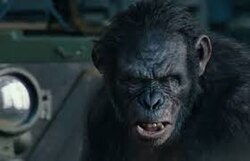 โคบา ( จากภาพยนตร์ Planet of the Apes )