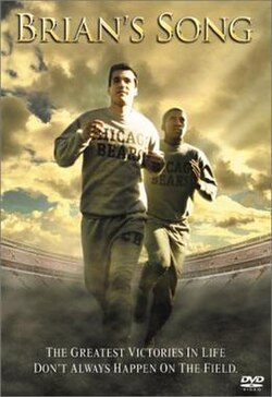 เพลงของไบรอัน (ภาพยนตร์ปี 2001)