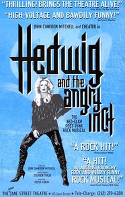 Hedwig and the Angry Inch (musical)
