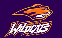 โลโก้ Wheeling Wildcats